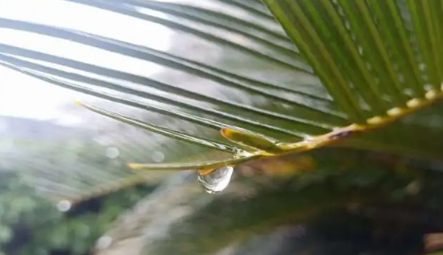 2024年6月云南多雨吗