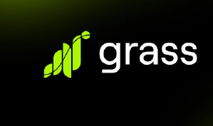 grass币能涨到多少钱1