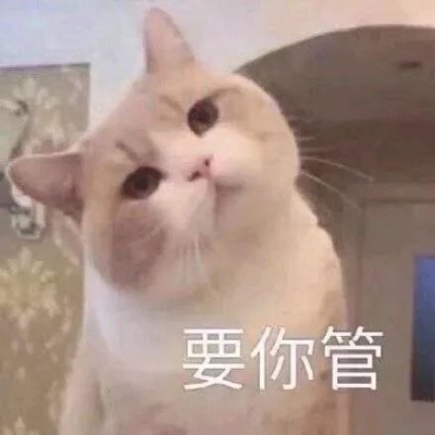 微信猫咪头像可爱大全带字 等一个你等一个爱情